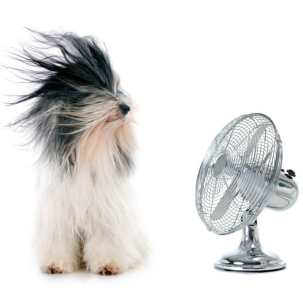 humidity in your home