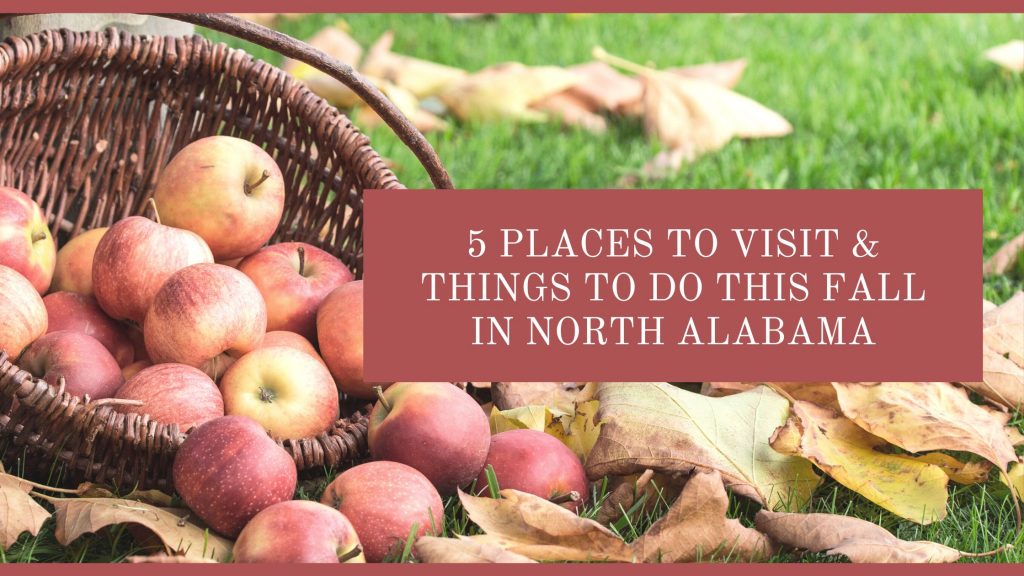 Things To Do This Fall In North Alabama