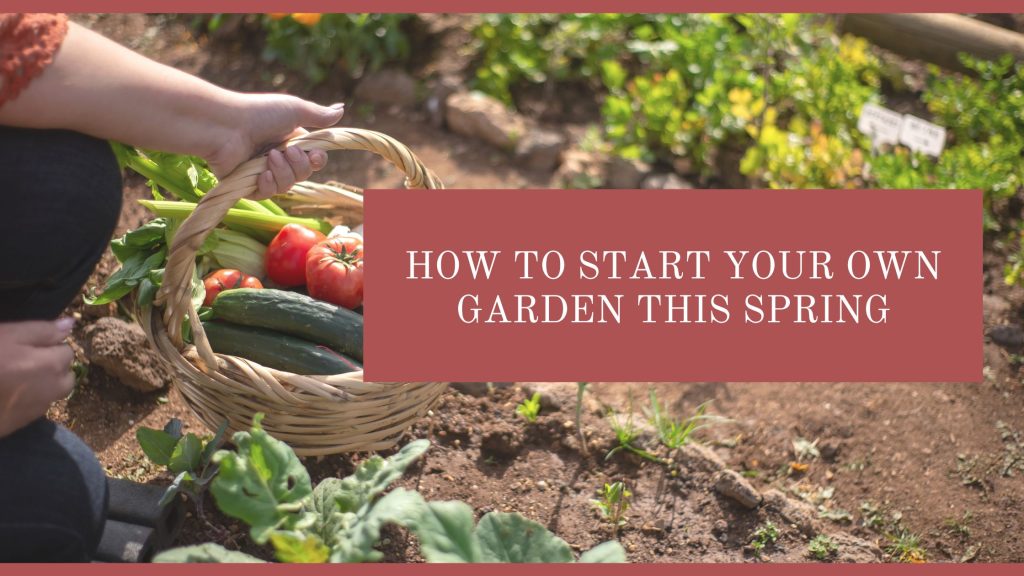 How to Start Your Own Garden This Spring