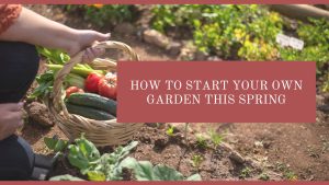 How to Start Your Own Garden This Spring