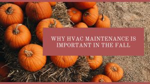 Why HVAC Maintenance Is Important In the Fall