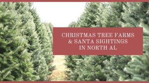 Christmas Tree Farms & Santa Sightings In North AL
