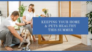 Summer Home & Pets Healthy Care Tips: Stay Comfortable!