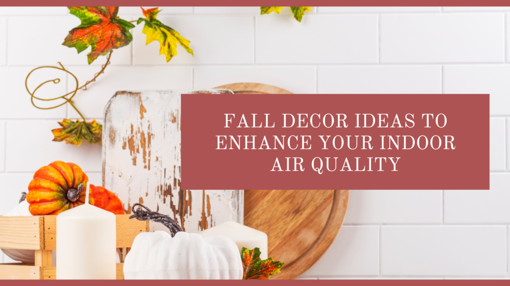 Fall Decor Ideas to Enhance Your Indoor Air Quality