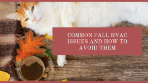 Common Fall HVAC Issues and How to Avoid Them