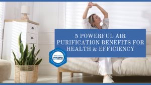 5 Powerful Air Purification Benefits for Health & Efficiency